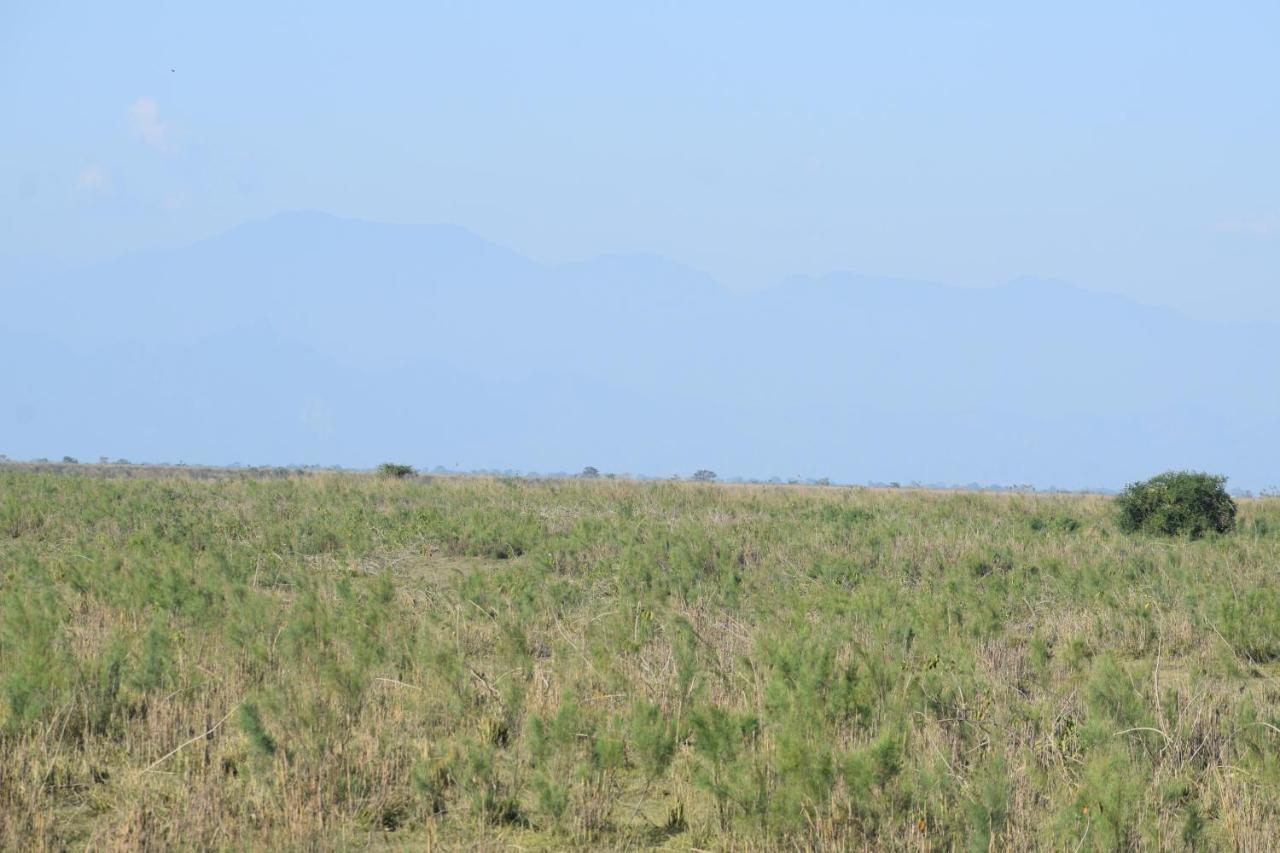 Dhansiri Eco Camp Bokākhāt Zewnętrze zdjęcie